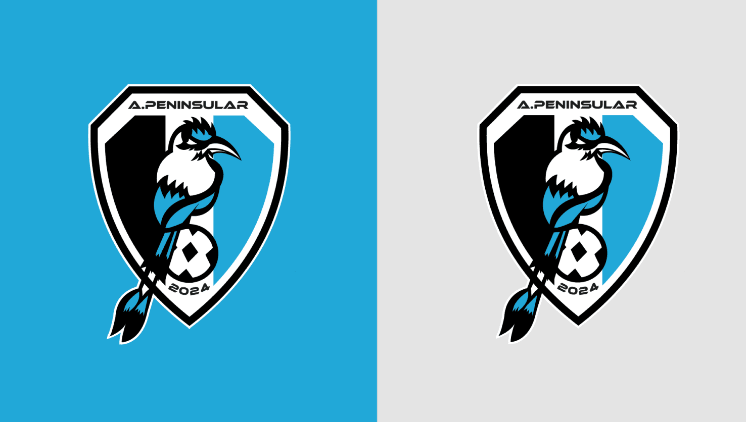 Imagen 4 de Atlético Peninsular | Logo & Identidad Visual